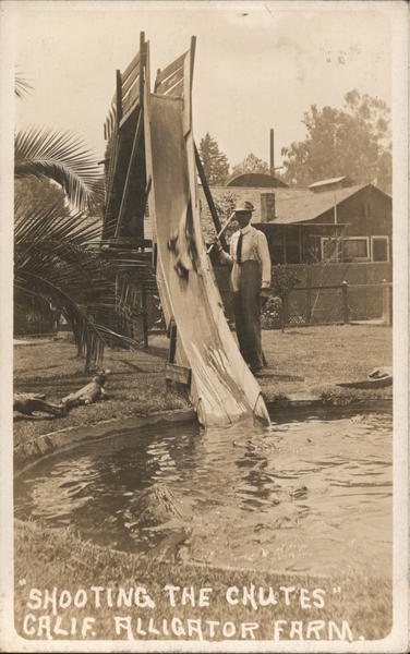 Shooting the Chutes, California Alligator Farm Los Angeles