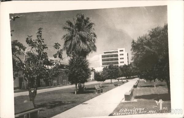 El Boulevay, park, benches Hermosillo Mexico