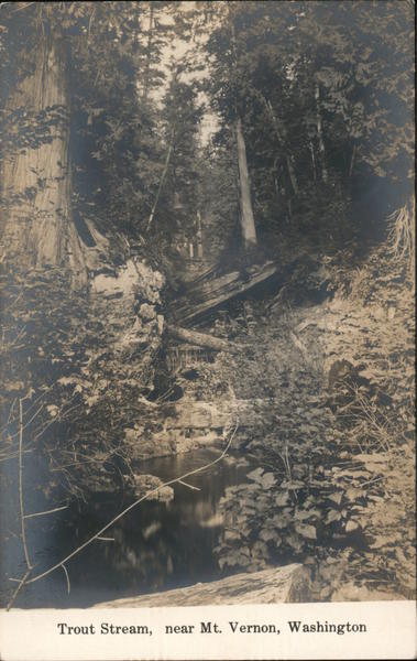 Trout Stream Mount Vernon Washington