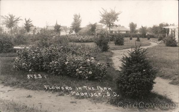 Flowers in the Park Mobridge South Dakota