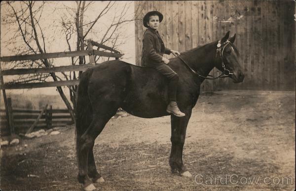 Boy seated on horse Children