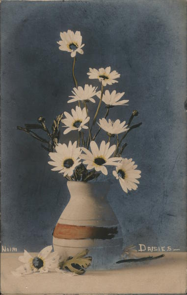 Daisies. Hand Colored Photo Flowers