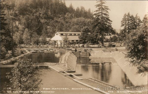 Fish Hatchery on Columbia River Highway Bonneville Oregon
