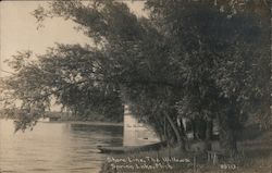 Shore Line, The Willows Postcard