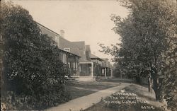 Cottages, The Willows Postcard