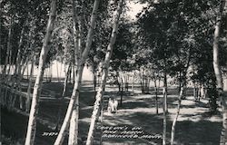 Cragun's Resort on Pine Beach Postcard