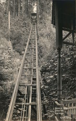 Scenic R.R. Shasta Springs Postcard