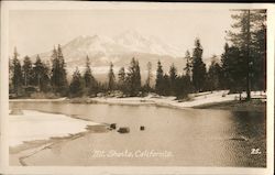 Mt. Shasta Postcard