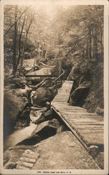 Elysian Land Postcard