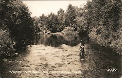 Trout Fishing in Northern Wisconsin Postcard