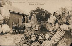 Bringing in the Sheaves - Loading Giant Vegetables Postcard
