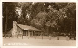 Big Trees Inn, Gateway to Big Trees Park Postcard