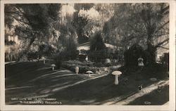 Snow White and the Seven Dwarfs, Busch Gardens Postcard