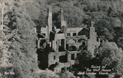 Ruins of "The Wolf House" Jack London Ranch Postcard