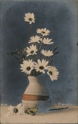 Daisies. Hand Colored Photo Postcard