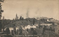 New Road to California Redwood Park Big Basin, CA Postcard Postcard Postcard