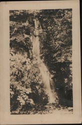 Fern Dell Falls Mount Hermon, CA Postcard Postcard Postcard