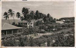 Homes along the beach, palm trees Postcard