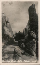 The Traffic Cop, Needles Road, Custer State Park South Dakota O A Vik Postcard Postcard Postcard