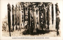 Hiawatha Sportsman's Club Engadine, MI Postcard Postcard Postcard
