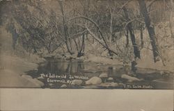 The Idlewild in Winter Postcard