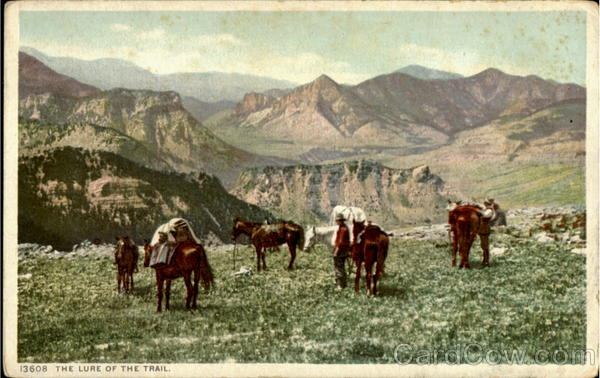 The Lure Of The Trail Cowboy Western