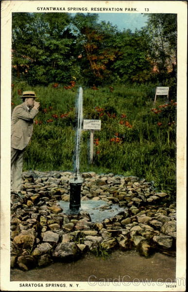 Gyantwaka Springs , Reservation Park Saratoga Springs New York