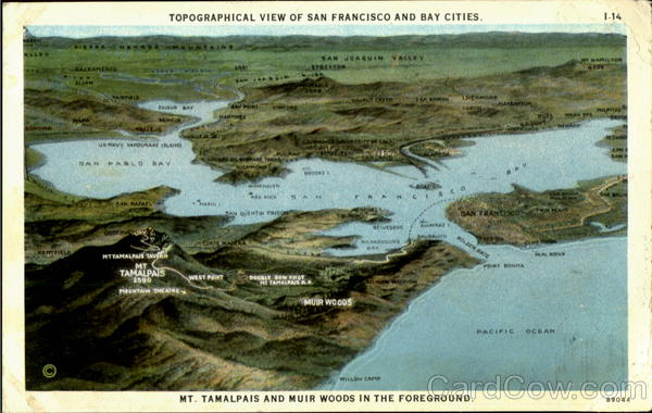 Topographical View Of San Francisco And Bay Cities California