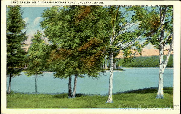 Lake Parlin On Bingham, Jackman Road Maine