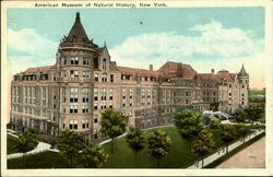American Museum Of Natural History Postcard
