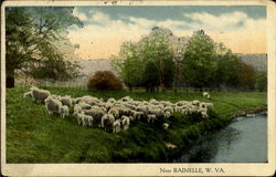 Near Rainelle West Virginia Postcard Postcard