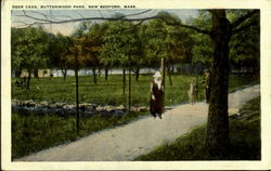 Deer Cage, Buttonwood Park New Bedford, MA Postcard Postcard