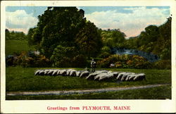 Greetings From Plymouth Postcard