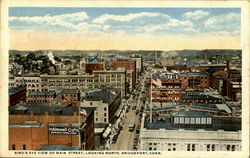 Bird's Eye View Of Main Street Postcard
