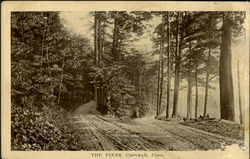 The Pines Postcard