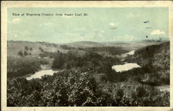 View Of Wopowog Country East Hampton, CT Postcard 