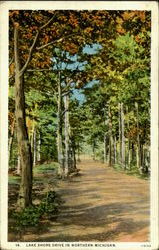 Lake Shore Drive In Northern Michigan Postcard