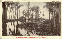 Greetings From Christmas Postcard