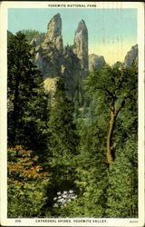 Yosemite National Park, Catheral Spires Yosemite Valley, CA Postcard Postcard