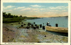 Digging Little Neck Clams Postcard