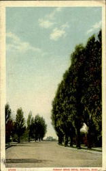 Fenway Drive Drive Postcard