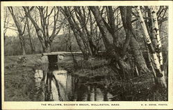 The Willows, Sachem's Brook Wollaston, MA Postcard Postcard