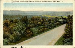 View From Observation Tower, Jacob's Ladder Trail Russell, MA Postcard Postcard