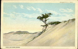 Cape Cod Sand Dunes Postcard