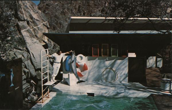 Aerial Tramway Animal Park Palm Springs California