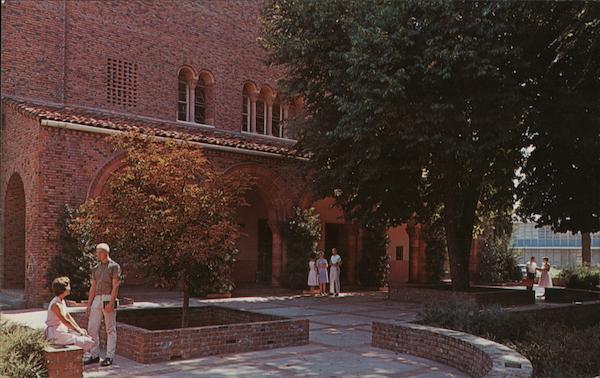 Chico State College California