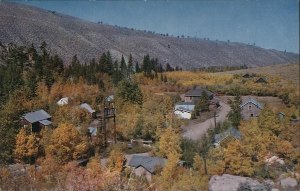 Cardinal Village Resort Bishop California