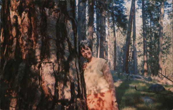 Ponderosa Basin near Yosemite Park Groveland California