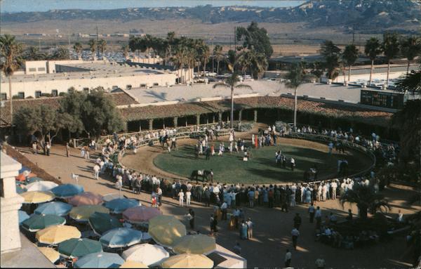 Thoroughbred racing in Southern California Del Mar