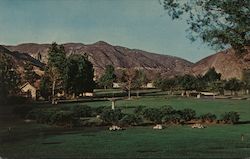 Glen Haven Memorial Park Postcard